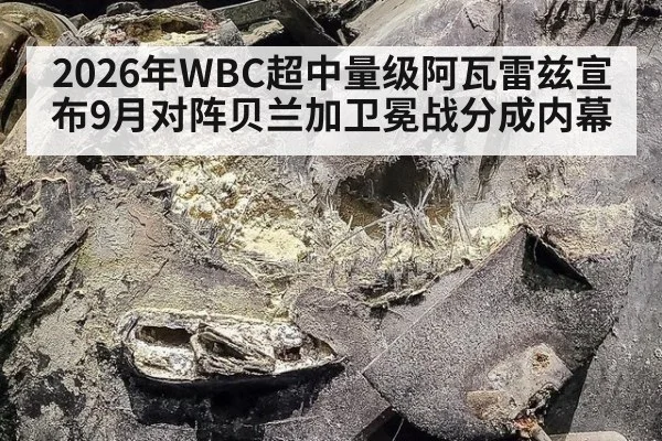 2026年WBC超中量级阿瓦雷兹宣布9月对阵贝兰加卫冕战分成内幕